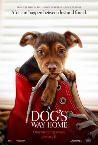 فيلم A Dogs Way Home 2019 مترجم